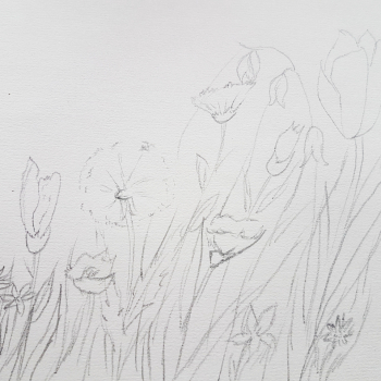 Blumenwiese_skaliert